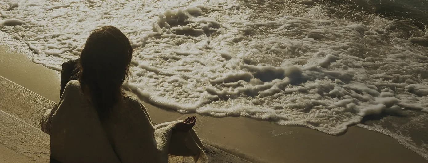 Black Friday & Cyber Monday