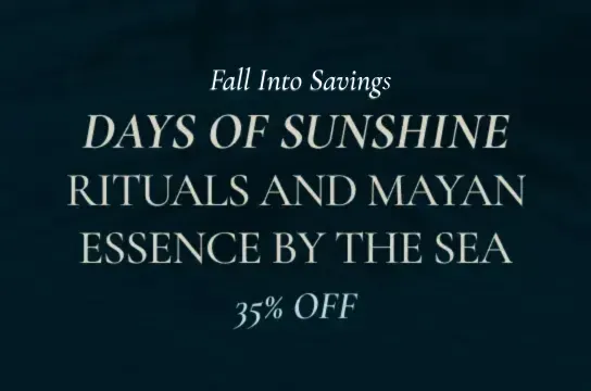 FALL INTO SAVINGS