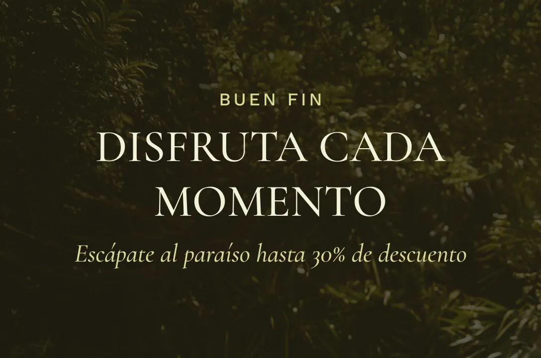 ESTE BUEN FIN OBTÉN HASTA UN 30% DE DESCUENTO