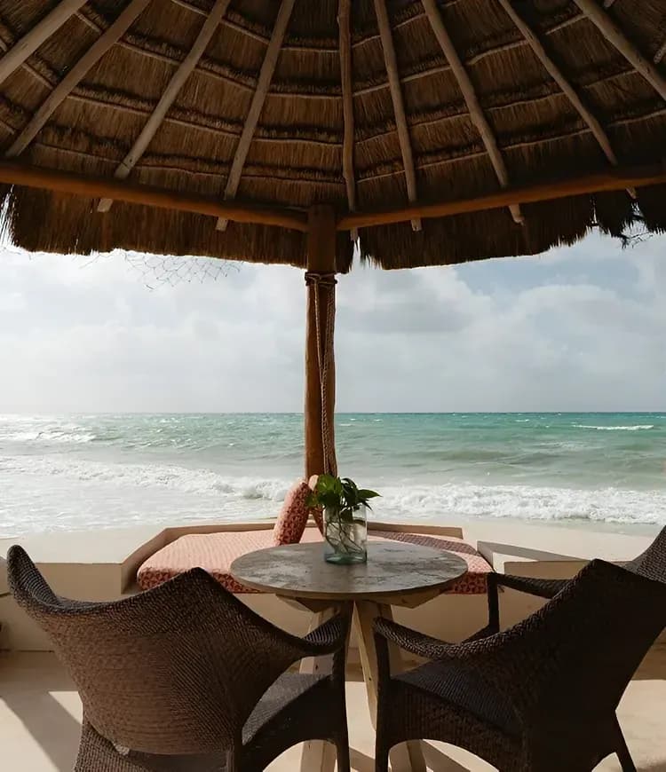 Turtle Season in Playa del Carmen: The Sacred Return to Life