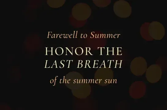 SUMMER WRAP-UP