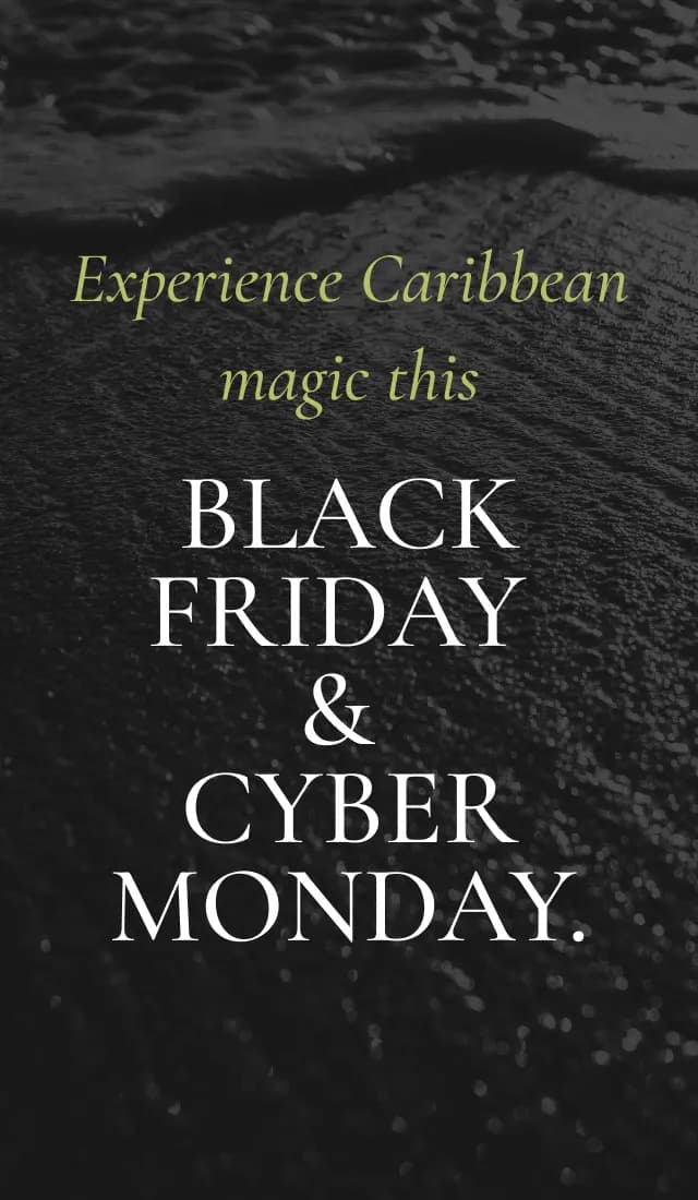 BLACK FRIDAY & CYBER MONDAY