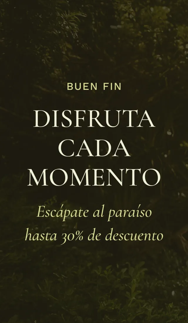 ESTE BUEN FIN OBTÉN HASTA UN 30% DE DESCUENTO
