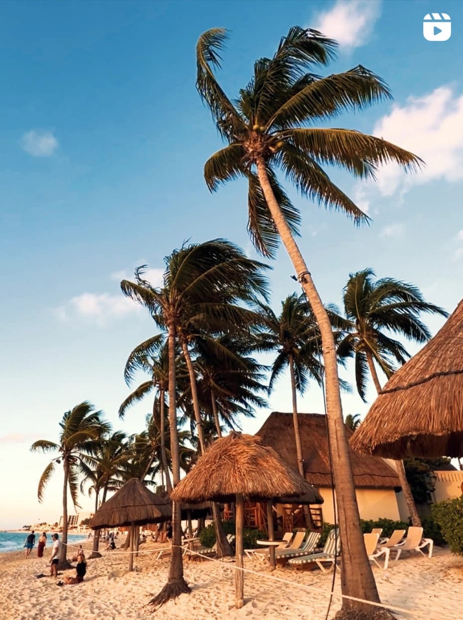 Palmeras y palapas en la playa de Mahekal Beach Resort al atardecer