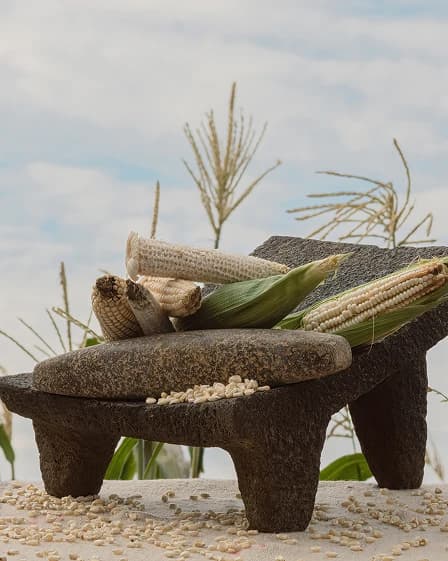 Mazorcas de maíz sobre un metate de piedra tradicional