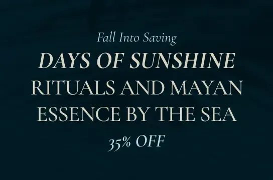 FALL INTO SAVING
