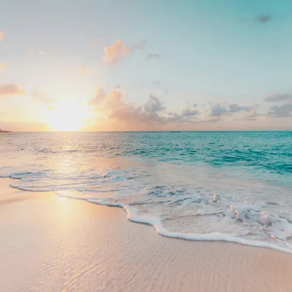 El Ritmo del Mar: Guía sobre la Mejor Época Para Visitar Playa Del Carmen