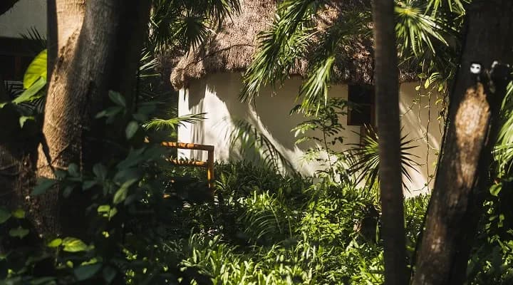 Mahekal Beach Resort: Un tesoro escondido en la Calle 38 de Playa del Carmen