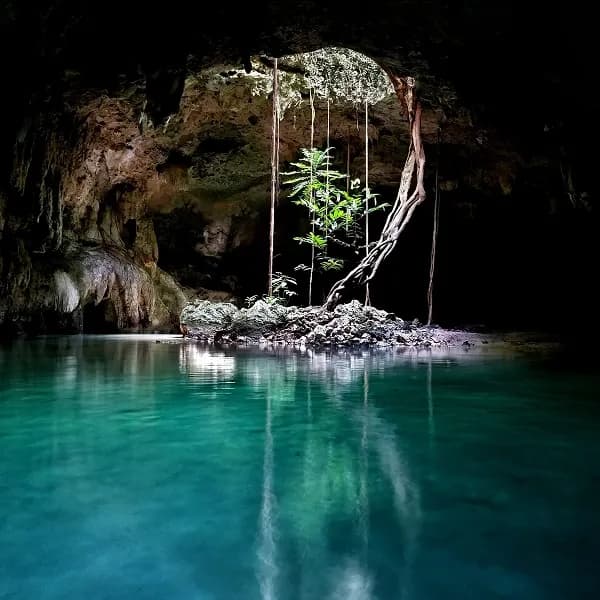 Guía Esencial: Qué Hacer en Playa del Carmen y Conectar con su Alma Mágica